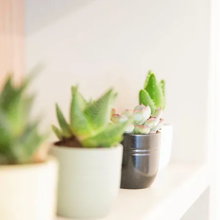 Imperium Trevi 4* Řím