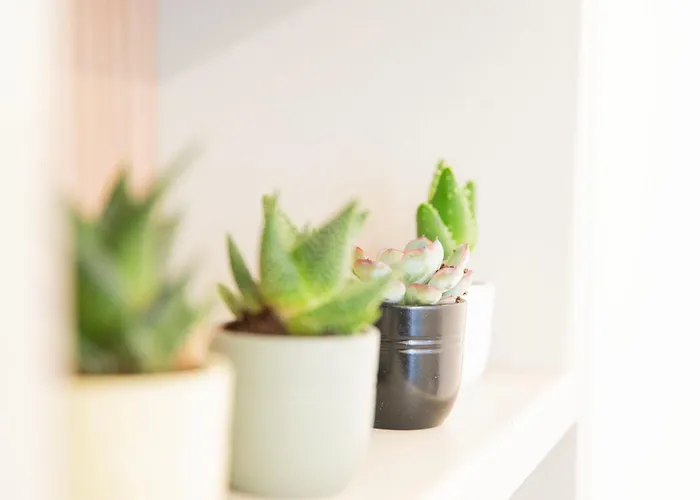 Imperium Trevi 4* Rome