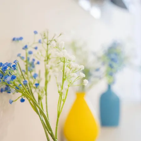 Konukevi Imperium Trevi